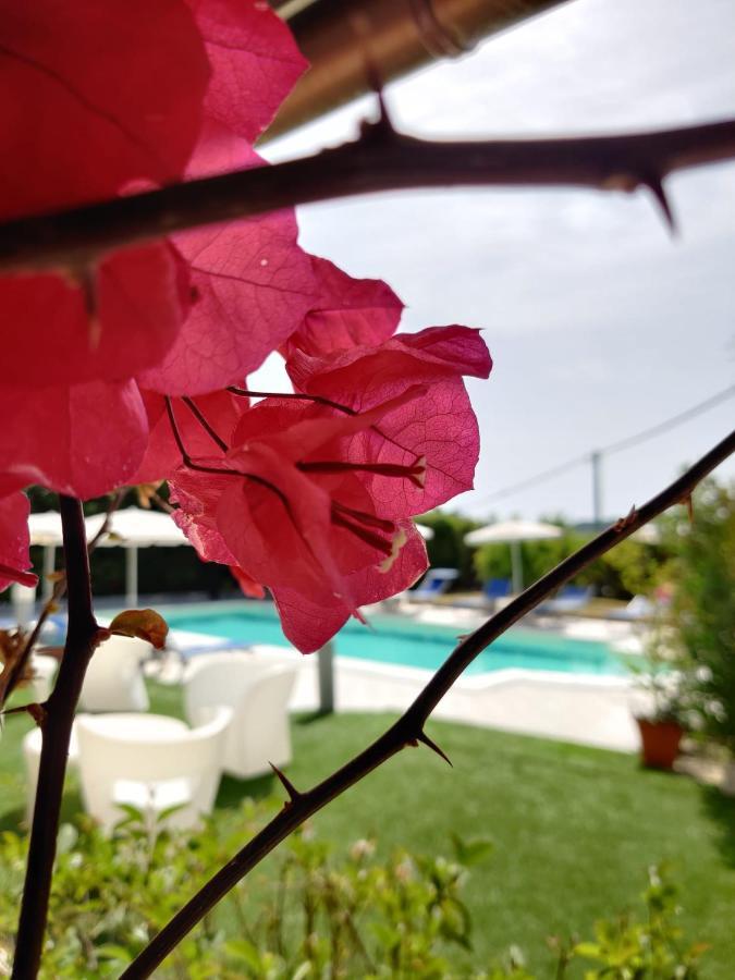 Tanca Hotel 3*