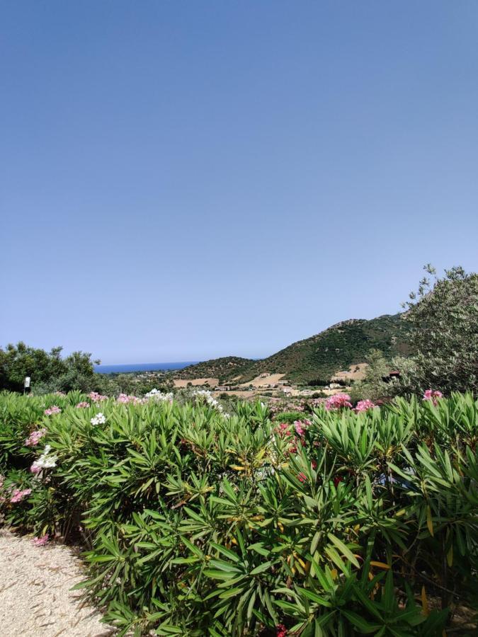 Hotel Tanca Cardedu